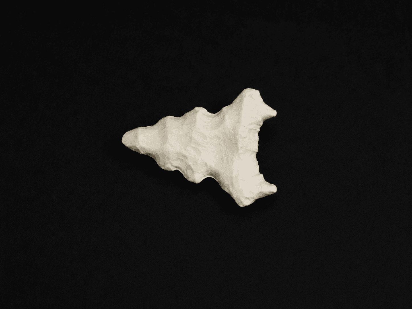 Coccyx